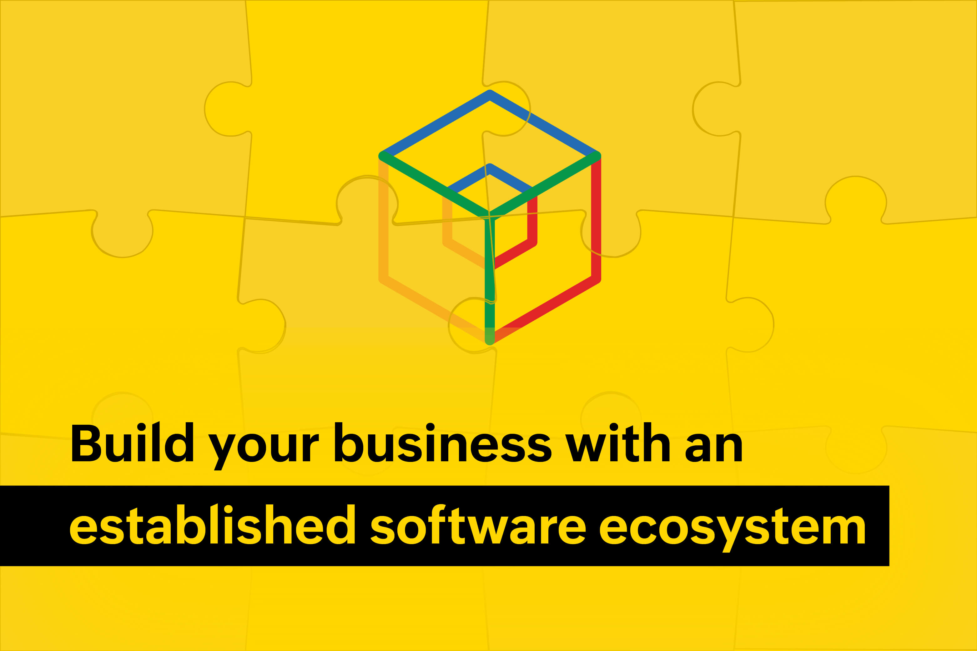 Build your business with an established software ecosystem 